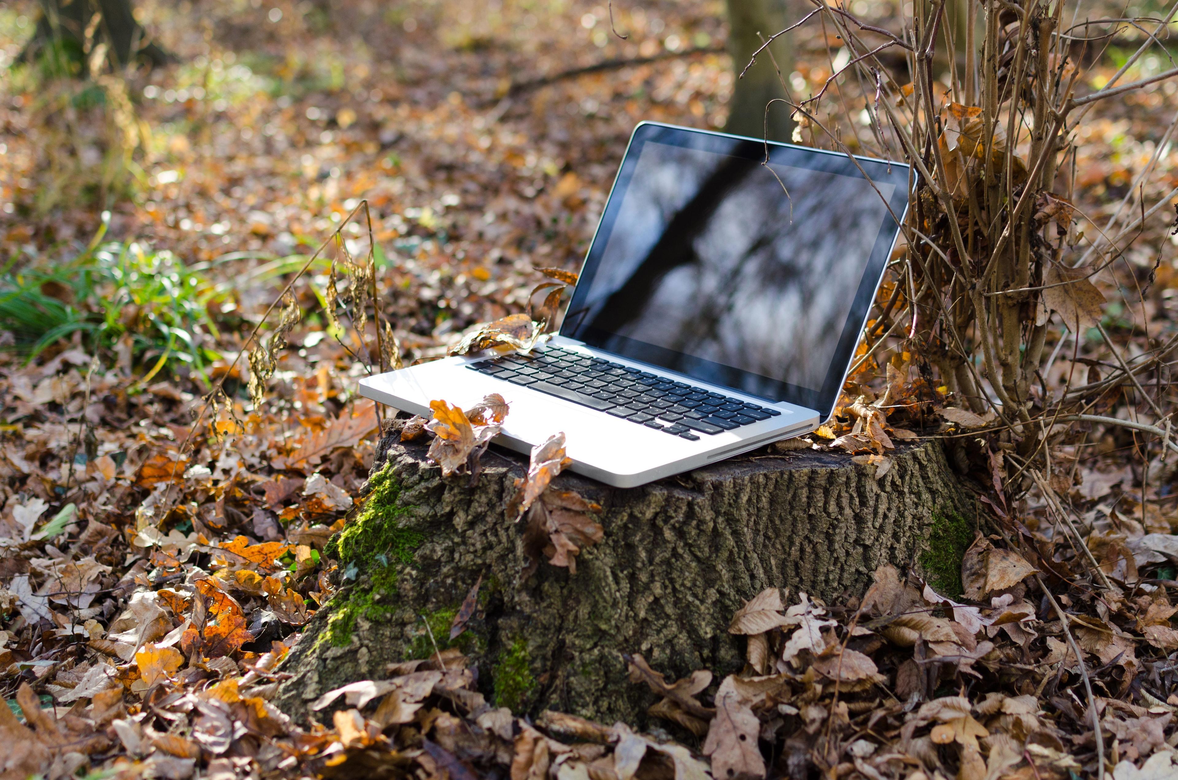 Digital Nomad mail address